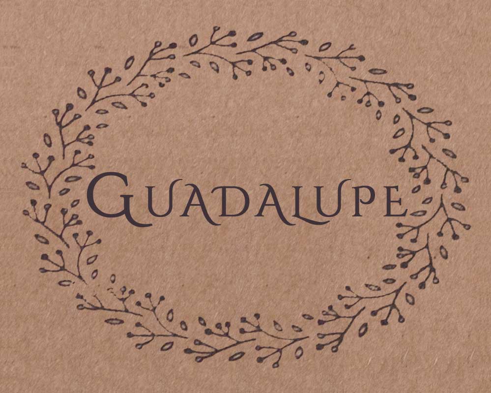 Lee más sobre el artículo Guadalupe