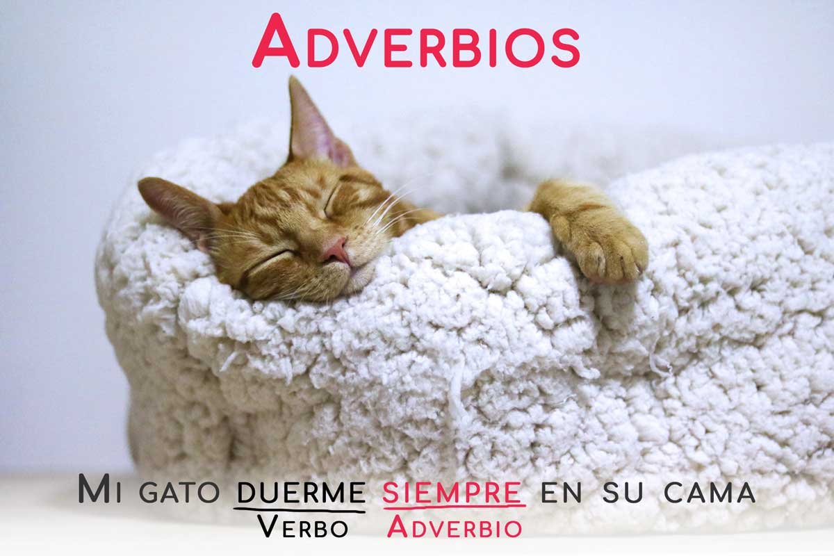 ejemplo adverbio